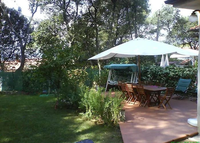 Leccino Sea Cliff Private Garden In Gulf Of Poets
