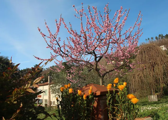 Casa Vacanze Ester